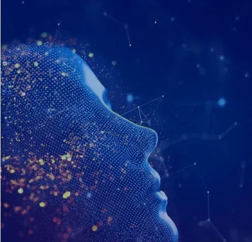 Digital Maturity Analysis